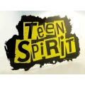 image Табличка акрилова "Teen spirit"