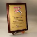 image Подяка від Київської федерації греко-римської боротьби